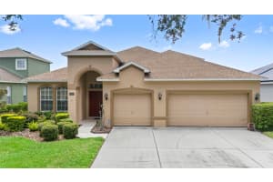 9505 LAUREL LEDGE DRIVE, RIVERVIEW, FL 33569 - MLS#MFRTB8414875
