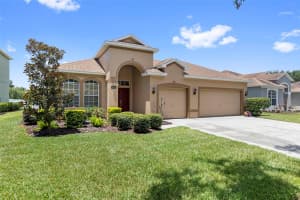 9505 LAUREL LEDGE DRIVE, RIVERVIEW, FL 33569 - MLS#MFRTB8414875
