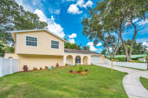 15810 Cottontail, TAMPA