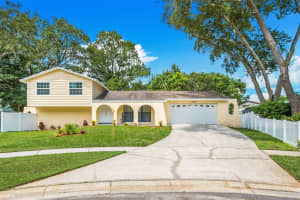 15810 COTTONTAIL, TAMPA, FL 33624 - MLS#MFRTB8414906