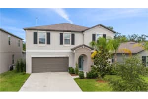 12949 Wildflower Meadow Dr, RIVERVIEW