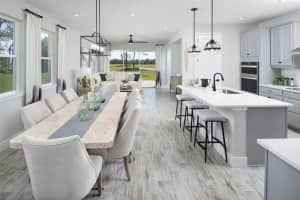 31225 PENDLETON LANDING CIRCLE, WESLEY CHAPEL, FL 33545 - MLS#MFRTB8414915