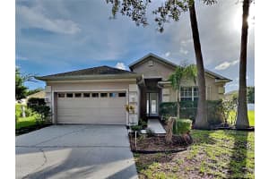 15402 Pepper Pine Ct, LAND O LAKES