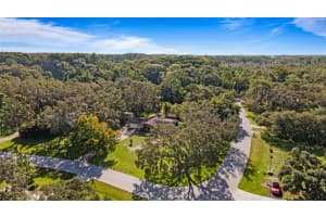11040 BLACKWOOD DRIVE, NEW PORT RICHEY, FL 34654 - MLS#MFRTB8414946