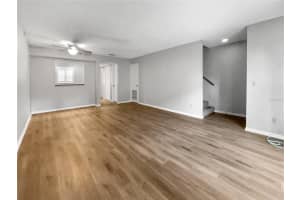 3421 CARTER STREET, TAMPA, FL 33629 - MLS#MFRTB8414953