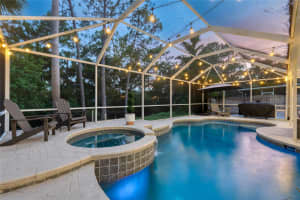 13207 ROYAL GEORGE AVENUE, ODESSA, FL 33556 - MLS#MFRTB8414954
