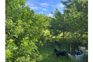 1002 PINEBROOK DRIVE, CLEARWATER, FL 33755 - MLS#MFRTB8414960