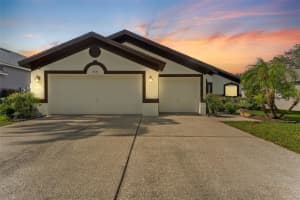 2630 Allwood Ave, VALRICO