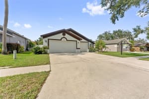 2630 ALLWOOD AVENUE, VALRICO, FL 33596 - MLS#MFRTB8414980