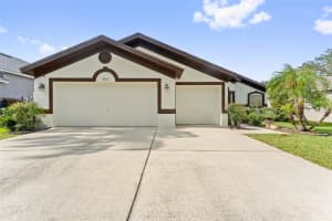 2630 ALLWOOD AVENUE, VALRICO, FL 33596 - MLS#MFRTB8414980