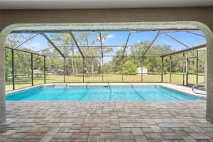 3385 SPRING PARK WAY, SPRING HILL, FL 34604 - MLS#MFRTB8414991