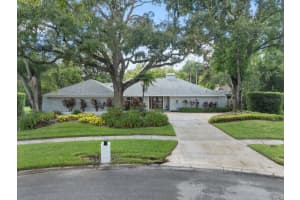 4205 Wayside Willow Ct, TAMPA