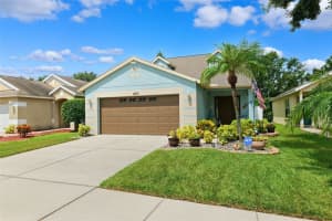 1420 DELANO TRENT STREET, RUSKIN, FL 33570 - MLS#MFRTB8415003