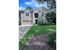 1531 MCCREA DRIVE, LUTZ, FL 33549 - MLS#MFRTB8415005