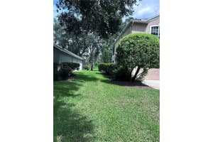 1531 MCCREA DRIVE, LUTZ, FL 33549 - MLS#MFRTB8415005