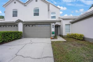 13606 Eagles Walk Dr, CLEARWATER