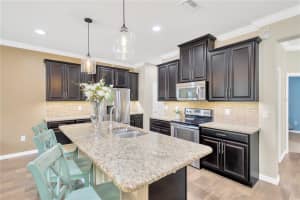 18913 CORNUTA STREET, LUTZ, FL 33558 - MLS#MFRTB8415019