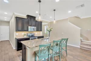 18913 CORNUTA STREET, LUTZ, FL 33558 - MLS#MFRTB8415019