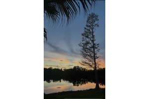 2257 FLETCHERS POINT CIRCLE, TAMPA, FL 33613 - MLS#MFRTB8415022