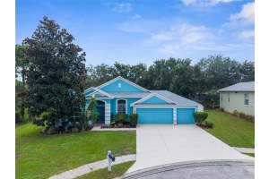 14092 Autumnwind Ct, SPRING HILL