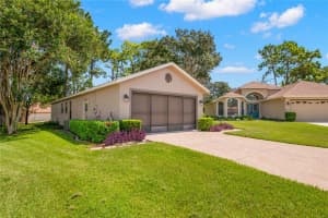 11427 KINGSTREE COURT, SPRING HILL, FL 34609 - MLS#MFRTB8415060