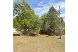 7227 JACKSON LANE, HOMOSASSA, FL 34448 - MLS#MFRTB8415072