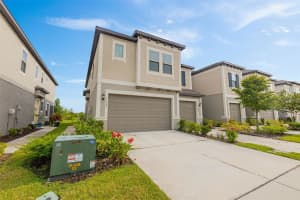 31603 BLUE PASSING LOOP, WESLEY CHAPEL, FL 33545 - MLS#MFRTB8415081