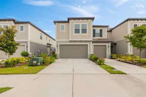 31603 BLUE PASSING LOOP, WESLEY CHAPEL, FL 33545 - MLS#MFRTB8415081