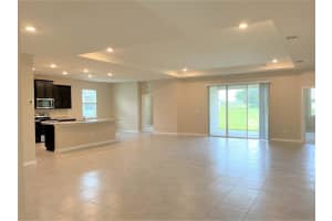 13811 WHISKEY DAISY DRIVE, DADE CITY, FL 33525 - MLS#MFRTB8415101