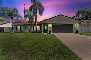 5815 Bitter Orange Ave, TAMPA