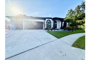 28412 Great Bend Pl, WESLEY CHAPEL