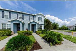 2419 GATHERING WAY, ODESSA, FL 33556 - MLS#MFRTB8415136