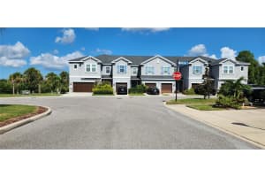 12355 BAYOU FLATS LANE, TAMPA, FL 33635 - MLS#MFRTB8415146