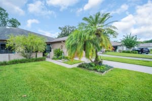 3284 GORSE COURT, PALM HARBOR, FL 34684 - MLS#MFRTB8415147