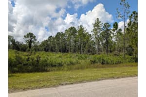 407 PALM AVENUE, INDIAN LAKE ESTATES, FL 33855 - MLS#MFRTB8415153