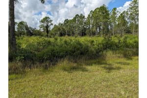 407 PALM AVENUE, INDIAN LAKE ESTATES, FL 33855 - MLS#MFRTB8415153