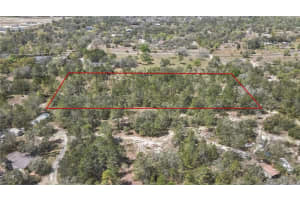 12460 TAYLOR STREET, BROOKSVILLE, FL 34613 - MLS#MFRTB8415185