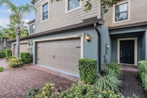 17356 OLD TOBACCO ROAD, LUTZ, FL 33558 - MLS#MFRTB8415231