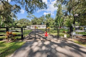 3265 NEFF LAKE ROAD, BROOKSVILLE, FL 34602 - MLS#MFRTB8415247