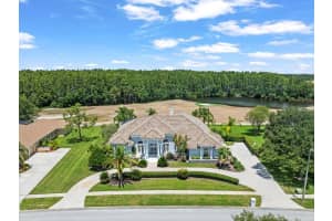 4529 CHEVAL BOULEVARD, LUTZ, FL 33558 - MLS#MFRTB8415251