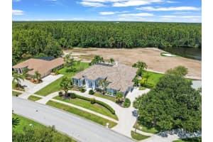 4529 CHEVAL BOULEVARD, LUTZ, FL 33558 - MLS#MFRTB8415251