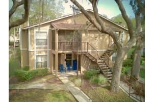 14325 Hanging Moss Cir #102, TAMPA
