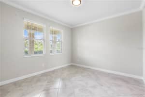 9173 SHADYSIDE LANE, LAND O LAKES, FL 34637 - MLS#MFRTB8415290