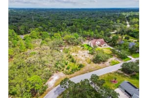 17942 OGGIE LANE, HUDSON, FL 34667 - MLS#MFRTB8415291