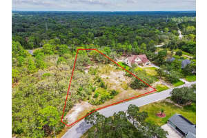 17942 OGGIE LANE, HUDSON, FL 34667 - MLS#MFRTB8415291