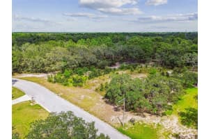 17942 OGGIE LANE, HUDSON, FL 34667 - MLS#MFRTB8415291