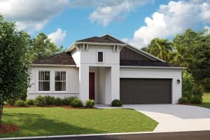 14405 Meadow Bird Ave, RIVERVIEW