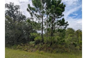201 ALBA DRIVE, INDIAN LAKE ESTATES, FL 33855 - MLS#MFRTB8415311