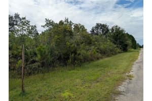 201 ALBA DRIVE, INDIAN LAKE ESTATES, FL 33855 - MLS#MFRTB8415311
