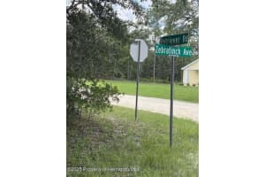 0 ZEBRAFINCH AVENUE, WEEKI WACHEE, FL 34614 - MLS#MFRTB8415321